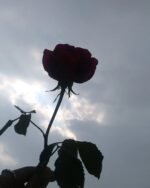 The Three Qule in Blue & Gold A Triptych of Divine Protection and Artistic Splendor. - Image 6